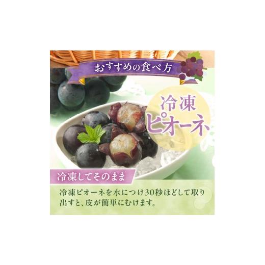 ふるさと納税 果物類 ぶどう 山梨県 上野原市  2026年先行予約 山梨県山梨市産 ぶどう約1kg（種なしピオーネ） ピオーネ 種なし 約1kg 1〜3房 ぶどう 葡萄 ブ…_5