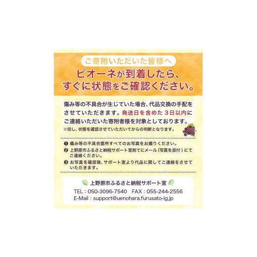 ふるさと納税 果物類 ぶどう 山梨県 上野原市  2026年先行予約 山梨県山梨市産 ぶどう約1kg（種なしピオーネ） ピオーネ 種なし 約1kg 1〜3房 ぶどう 葡萄 ブ…_6