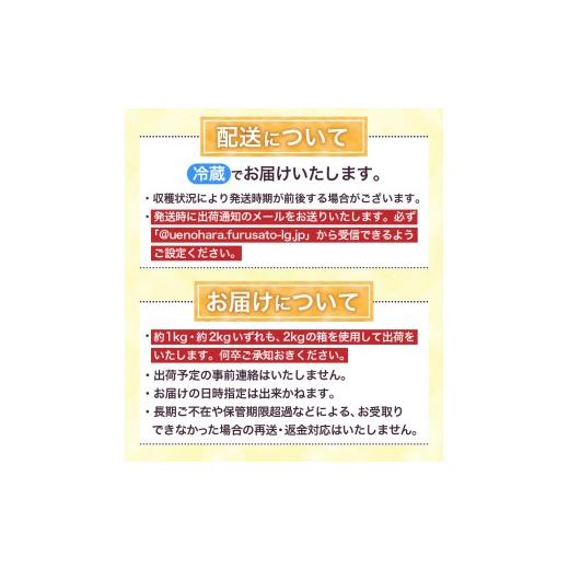 ふるさと納税 果物類 ぶどう 山梨県 上野原市  2026年先行予約 山梨県山梨市産 ぶどう約1kg（種なしピオーネ） ピオーネ 種なし 約1kg 1〜3房 ぶどう 葡萄 ブ…_8