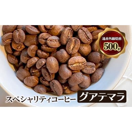 ふるさと納税 コーヒー コーヒー豆 大阪府 岸和田市 スペシャリティコーヒー グアテマラ (アンティグア地区アゾテア農園産) 遠赤外線焙煎500g コーヒー…