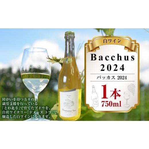 ふるさと納税 ワイン 白ワイン 北海道 鷹栖町 白ワイン Bacchus 2024(バッカス 2024)750ml×1本 白ワイン お酒 ぶどう 国産 果実酒 特別 お祝い 冷蔵 北海道…