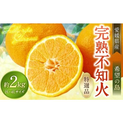 ふるさと納税 果物類 みかん 愛媛県 - 希望の島 完熟不知火 特選品 大玉 2kg 愛媛県 松山市 中島産 不知火 しらぬい 柑橘 贈答用 果物 くだもの フルーツ デ…