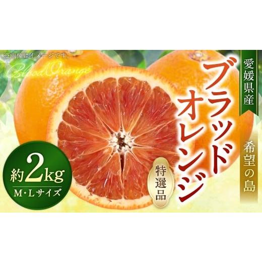 ふるさと納税 みかん・柑橘類 オレンジ 愛媛県 - 希望の島 ブラッドオレンジ 特選品 中玉 2kg 愛媛県 松山市 中島産 オレンジ 柑橘 贈答用 果物 くだもの フ…
