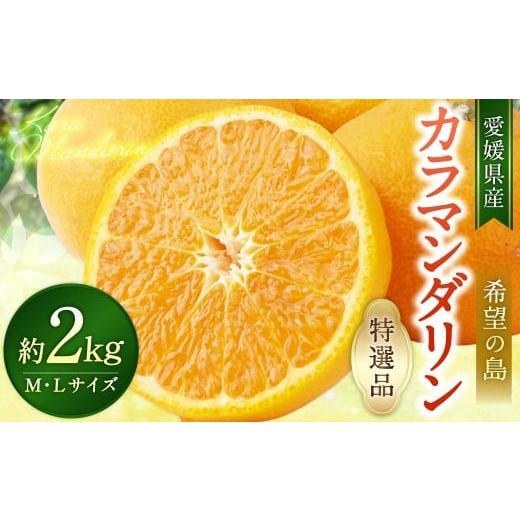 ふるさと納税 果物類 みかん 愛媛県 - 希望の島 完熟春みかん (カラマンダリン) 特選品 中玉 2kg 愛媛県 松山市 中島産 みかん ミカン 柑橘 贈答用 果物 く…