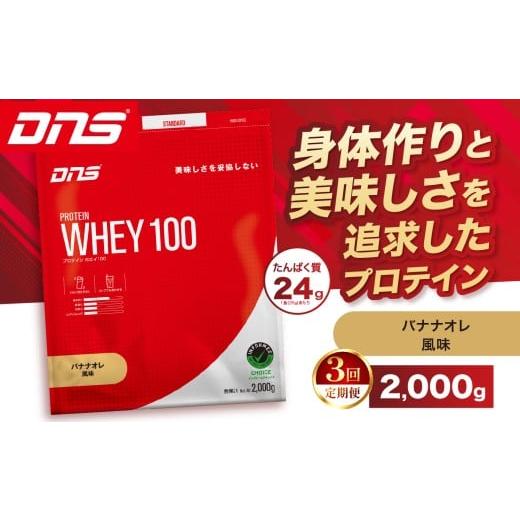 ふるさと納税 加工品等 栃木県 真岡市 定期便3回 DNS プロテインホエイ 100 バナナオレ 風味 2,000g | プロテイン ホエイプロテイン バナナ オレ 人気 高たん…