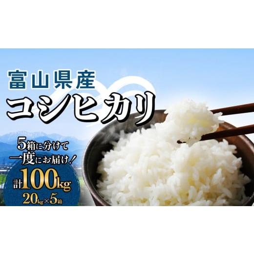 ふるさと納税 米 コシヒカリ 富山県 氷見市 富山県産 コシヒカリ 100kg(20kg×5箱) 精米