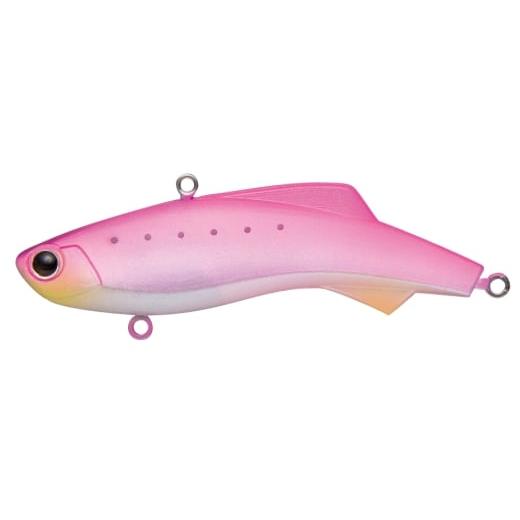 ふるさと納税 雑貨・日用品 京都府 京田辺市 shiriten VIBE 73 #21 ピンキーイワシ