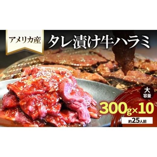 ふるさと納税 牛肉 もつ鍋 京都府 京田辺市 アメリカ産タレ漬け牛ハラミ 大容量(約25人前) 300g×10 牛肉 焼肉 焼き肉 アウトドア BBQ