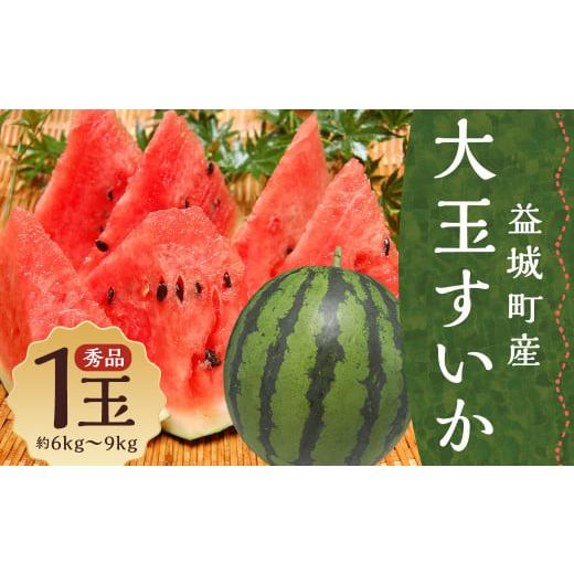 ふるさと納税 スイカ 熊本県 益城町 大玉すいか 秀品 1玉 約6kg〜9kg 送料無料 スイカ すいか 益城町産 お取り寄せ お取り寄せグルメ 西瓜 フルーツ 2026年5月…