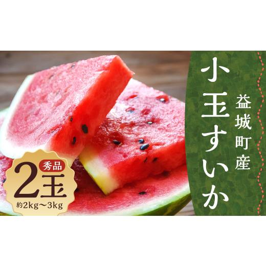 ふるさと納税 スイカ 熊本県 益城町 小玉すいか 秀品 2玉 約2〜3kg 送料無料 スイカ すいか 益城町産 お取り寄せ お取り寄せグルメ 西瓜 フルーツ 2026年5月下…