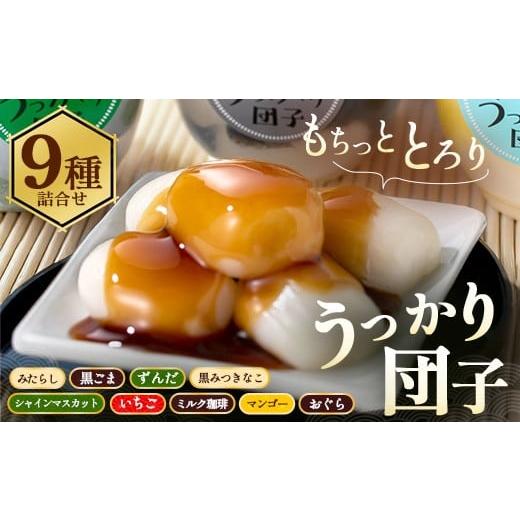 ふるさと納税 和菓子 だんご 栃木県 鹿沼市 もちもちとろり うっかり団子の9種類詰合せ | だんご 団子 和菓子 スイーツ 和スイーツ デザート グルメ セット …
