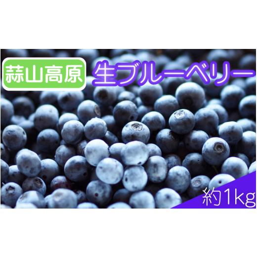 ふるさと納税 果物類 岡山県 真庭市 2026年先行予約 蒜山高原生ブルーベリー 1kg / ブルーベリー フルーツ 蒜山高原 岡山県 真庭市 蒜山 kbkb001-01