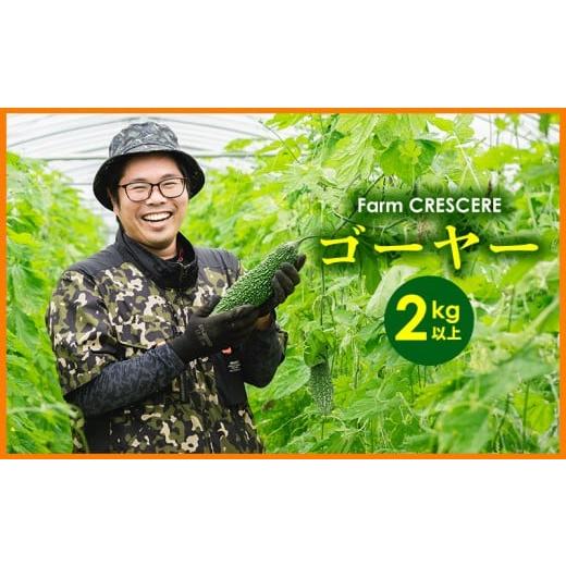 ふるさと納税 野菜類 沖縄県 大宜味村 Farm CRESCERE ゴーヤー2kg以上 沖縄 大宜味村 ゴーヤー ごーやー チャンプルー 野菜 ふるさと納税 送料無料 沖縄料理 …