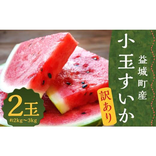 ふるさと納税 スイカ 熊本県 益城町 訳あり 小玉すいか 2玉 約2〜3kg 送料無料 熊本すいか すいか 西瓜 ひとりじめ 果物 フルーツ 2026年5月下旬〜7月下旬発送…