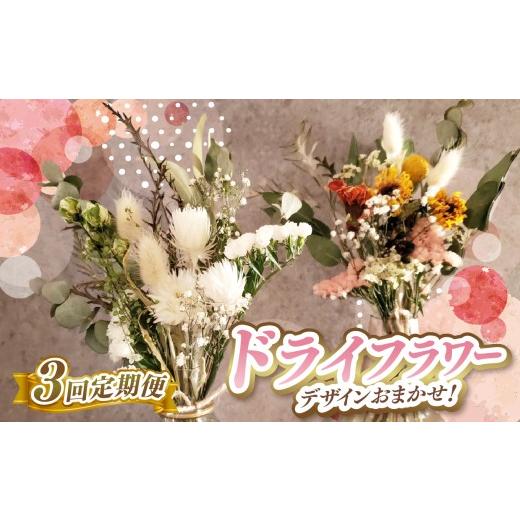 ふるさと納税 雑貨・日用品 花 東京都 調布市 3か月 定期便 お手入れ不要 デザイン おまかせ ドライフラワー | 長さ約18cm〜約20cm 10本〜 お花 flower フラワ…の画像