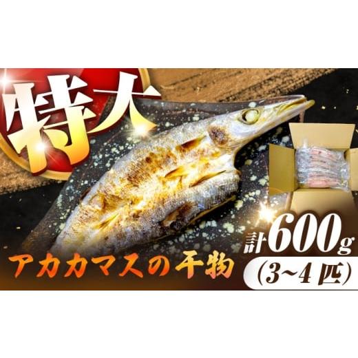 ふるさと納税 干物 カマス 長崎県 壱岐市 特大アカカマスの開き 干物 計600g(3〜4枚)[壱岐市] 馬渡水産 かます カマス アカカマス 赤カマス ひもの 干物 …