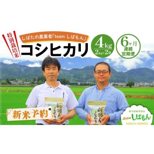 ふるさと納税 米 コシヒカリ 新潟県 新発田市  R8年産先行予約 新米 定期便 4kg×6ヵ月 特別栽培米コシヒカリ 白米 新潟県産 こしひかり 2kg×2袋 少量 便利 …の画像