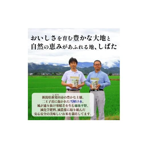 ふるさと納税 米 コシヒカリ 新潟県 新発田市  R8年産先行予約 新米 定期便 4kg×6ヵ月 特別栽培米コシヒカリ 白米 新潟県産 こしひかり 2kg×2袋 少量 便利 …の画像