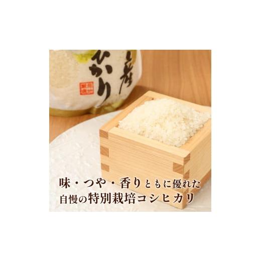 ふるさと納税 米 コシヒカリ 新潟県 新発田市  R8年産先行予約 新米 定期便 4kg×6ヵ月 特別栽培米コシヒカリ 白米 新潟県産 こしひかり 2kg×2袋 少量 便利 …の画像