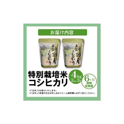 ふるさと納税 米 コシヒカリ 新潟県 新発田市  R8年産先行予約 新米 定期便 4kg×6ヵ月 特別栽培米コシヒカリ 白米 新潟県産 こしひかり 2kg×2袋 少量 便利 …の画像