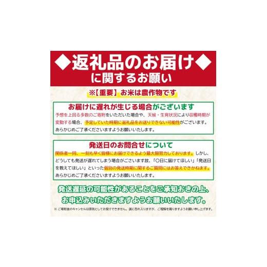 ふるさと納税 米 コシヒカリ 新潟県 新発田市  R8年産先行予約 新米 定期便 4kg×6ヵ月 特別栽培米コシヒカリ 白米 新潟県産 こしひかり 2kg×2袋 少量 便利 …の画像