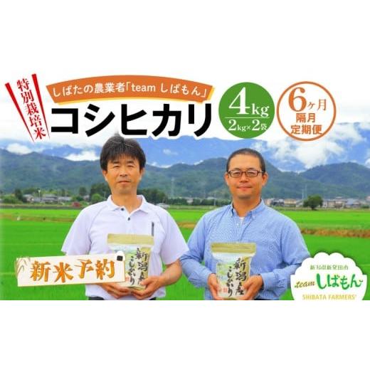ふるさと納税 米 コシヒカリ 新潟県 新発田市 R8年産先行予約 新米 隔月定期便 4kg×隔月6回 新潟県産 特別栽培米コシヒカリ 新潟県 新潟産 新発田産 米 コシ…