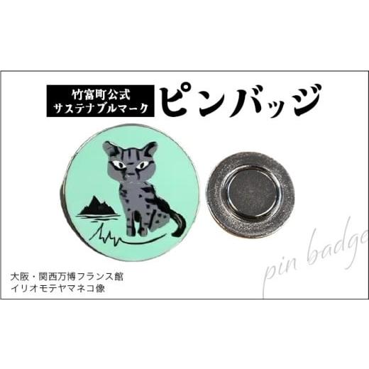 ふるさと納税 地域のお礼の品 沖縄県 竹富町 竹富町公式サステナブルマークピンバッジ グリーン (マグネットタイプ)|大阪・関西万博フランス館イリオモテヤ…
