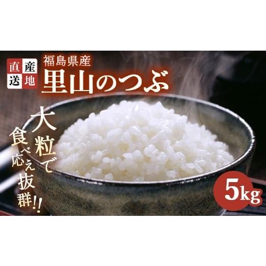 ふるさと納税 米 福島県 猪苗代町 令和7年産 新米 里山のつぶ 5kg | 白米 精米 生産者直送 産地直送 猪苗代産 はんざわエコファーム 沖縄・離島への配送不可