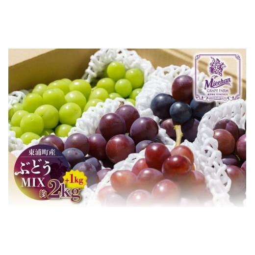 ふるさと納税 ぶどう 巨峰 愛知県 東浦町 先行予約 2026年8月発送 東浦町産 ぶどうMIX・約3kg(2kg+1kg ) みっちゃんぶどう園