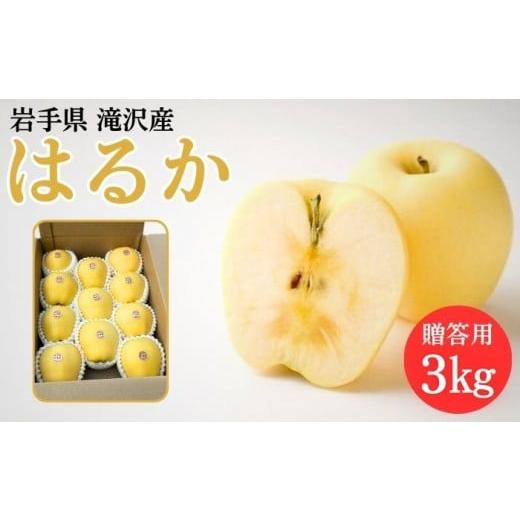 ふるさと納税 りんご 岩手県 滝沢市 岩手県 滝沢市産 はるか 贈答用 3kg 約 8玉 から 11玉 フルーツファームおやまだ 岩手県産 リンゴ 林檎 アップル 3キロ 3…