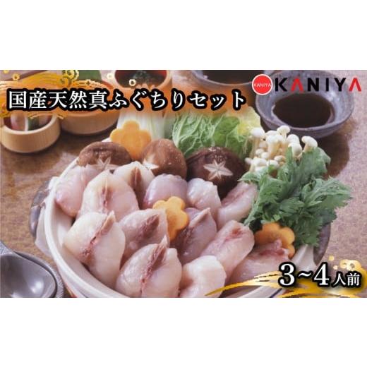 ふるさと納税 フグ 山口県 下関市 国産 天然 真ふぐ ちり セット 3〜4人前 500g 河豚 ふぐ フグ まふぐ マフグ ふぐ刺し てっさ ふぐ料理 高級魚 魚介 海鮮 贈…