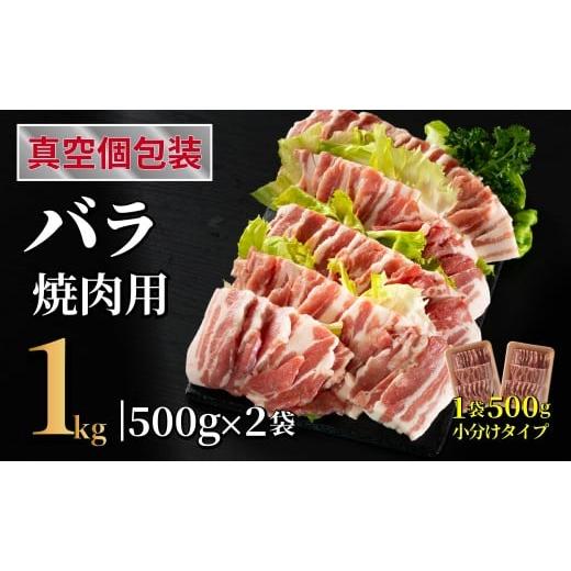ふるさと納税 豚肉 焼肉・バーベキュー 長崎県 佐世保市 B593 長崎県産豚 バラ焼肉用 計1kg(500g×2)