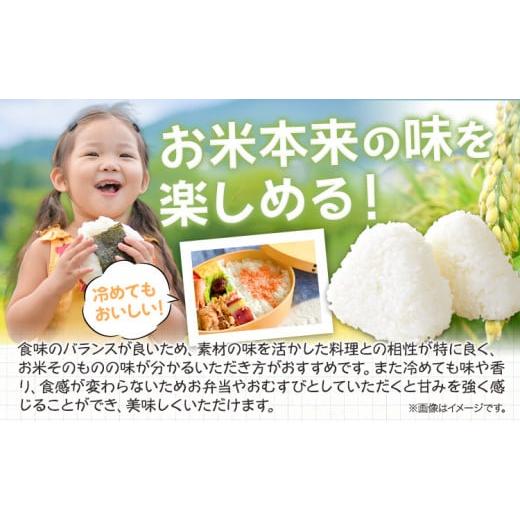 ふるさと納税 米 きぬむすめ 岡山県 浅口市 令和7年産 無洗米 8kg お米 