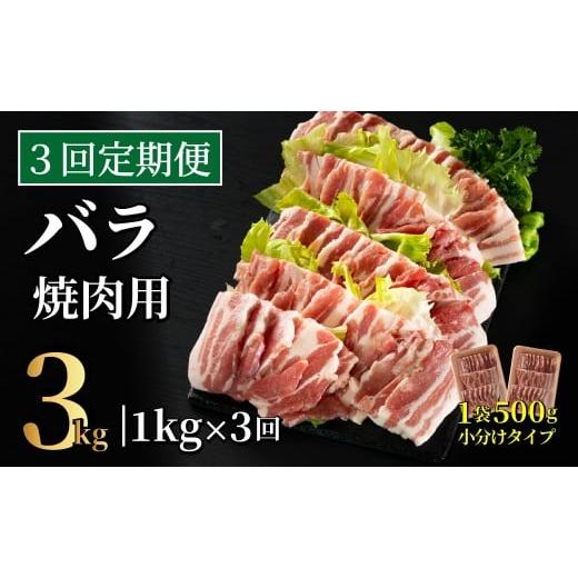 ふるさと納税 豚肉 焼肉・バーベキュー 長崎県 佐世保市 B594 [定期便]長崎県産豚 バラ焼肉用 計1kg(500g×2) 3回お届け