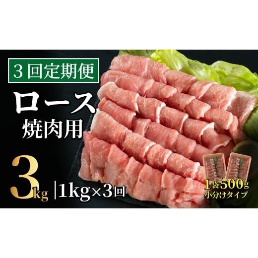 ふるさと納税 豚肉 焼肉・バーベキュー 長崎県 佐世保市 B598[定期便]長崎県産豚 ロース焼肉用計1kg(500g×2) 3回お届け