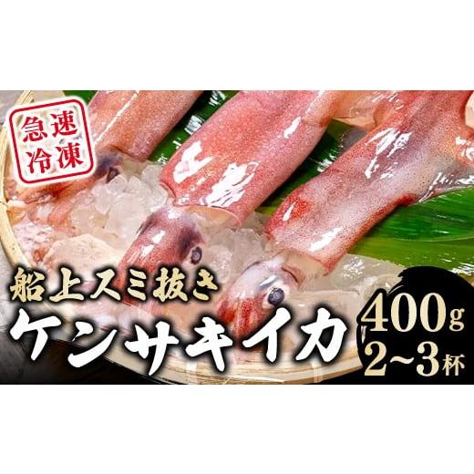 ふるさと納税 イカ 島根県 大田市 船上スミ抜きケンサキイカ 400g(2〜3杯) いか 剣先いか 400g 烏賊 イカ ケンサキイカ 贅沢 刺身 おかず おつまみ お酒 冷…