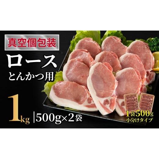 ふるさと納税 豚肉 ロース 長崎県 佐世保市 B609 長崎県産豚 ロースとんかつ用計1kg (100g×5枚)×2