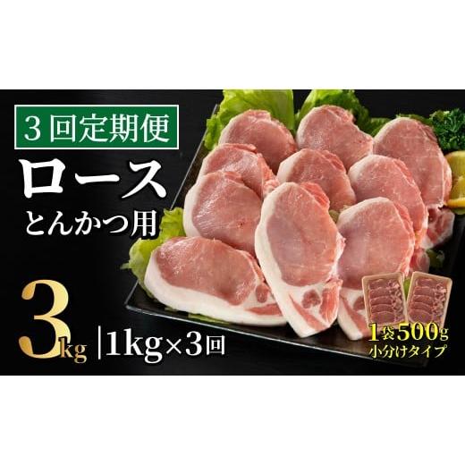 ふるさと納税 豚肉 ロース 長崎県 佐世保市 B610 [定期便]長崎県産豚 ロースとんかつ用計1kg(100g×5枚)×2 3回お届け