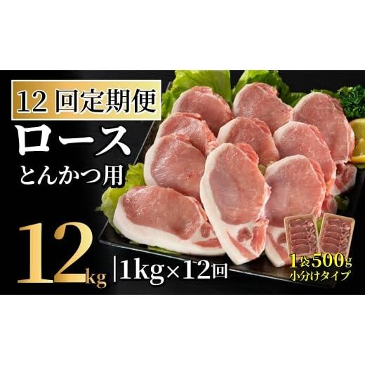 ふるさと納税 豚肉 ロース 長崎県 佐世保市 B612 [定期便]長崎県産豚 ロースとんかつ用計1kg(100g×5枚)×2 12回お届け