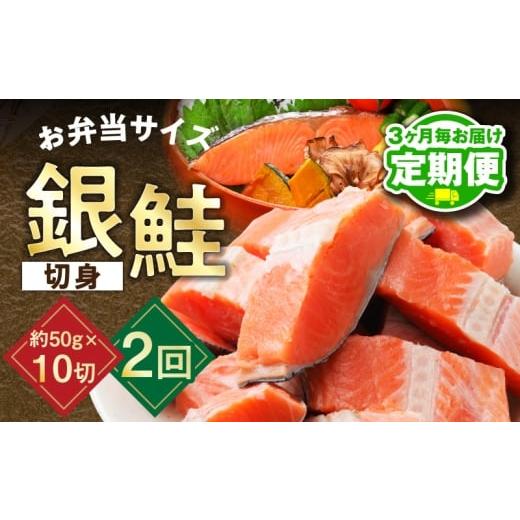 ふるさと納税 魚貝類 鮭 大阪府 泉佐野市 定期便 銀鮭 切身 約50g×10切れ 2026年1月&2026年4月発送 お弁当サイズ 小分け 漁師 手切り 500g さけ サケ 切り…