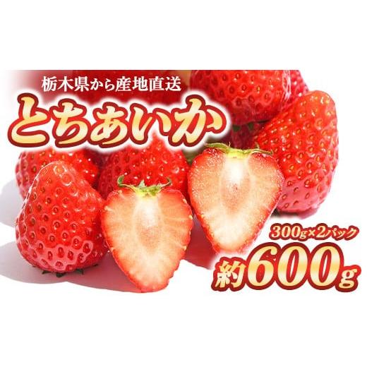 ふるさと納税 いちご 栃木県 宇都宮市 とちあいか 300g×2パック | いちご 栃木 甘い 糖度 旬 新鮮 フルーツ 果物 アレンジ スイーツ いちごジャム フルーツ…