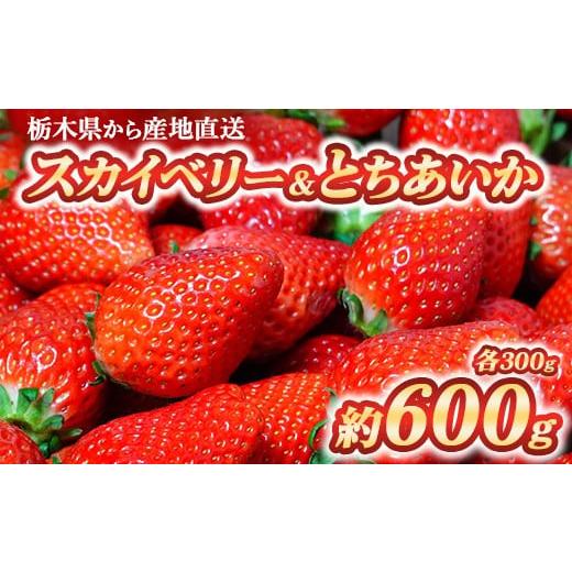 ふるさと納税 いちご 栃木県 宇都宮市 いちご食べ比べセット スカイベリー300g&amp;とちあいか300g| いちご 栃木 スカイベリー 甘い 糖度 旬 新鮮 フルーツ …