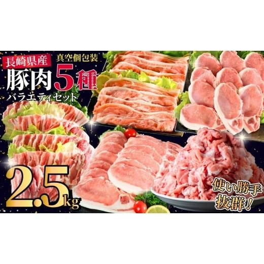 ふるさと納税 豚肉 セット 長崎県 佐世保市 B617 長崎県産豚 バラエティ 5点セット 総計2.5kg