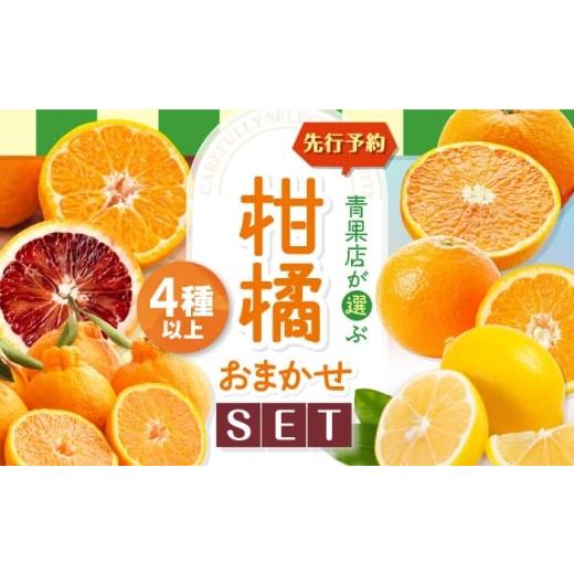 ふるさと納税 果物類 みかん 愛媛県 大洲市 柑橘おまかせセット 先行予約 3月上旬発送 愛媛県大洲市/沢井青果有限会社 AGBN053 柑橘セット みかん 愛媛みかん…
