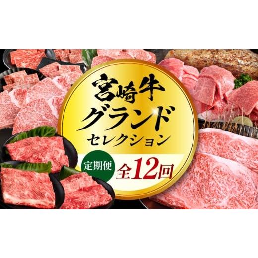 ふるさと納税 牛肉 ロース 宮崎県 宮崎市 全12回定期便 宮崎牛グランドセレクション|定期便 12回 12回定期便 牛肉 肉 お肉 精肉 牛 宮崎牛 ブランド牛 国産…