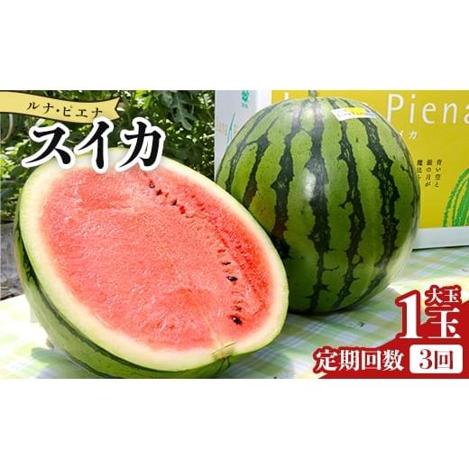 ふるさと納税 スイカ 高知県 香南市 すいか 定期便 3回定期便 ルナ・ピエナスイカ(大玉) 1玉 2026年5月下旬より順次発送 スイカ 高知県産 ルナピエナ ギフト…