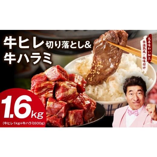 ふるさと納税 牛肉 ヒレ 大阪府 泉佐野市 氷温熟成×特製ダレ 牛ヒレ 1kg+牛ハラミ 600g 合計1.6kg 味付き 訳あり サイズ不揃い 小分け