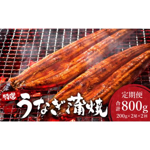 ふるさと納税 うなぎ 佐賀県 大町町 2026年3月配送開始/定期便2回 うなぎ蒲焼き 計800g (200g×2尾×2回) /うなぎ 鰻 ウナギ 蒲焼 蒲焼き 土用 丑の日 特選…