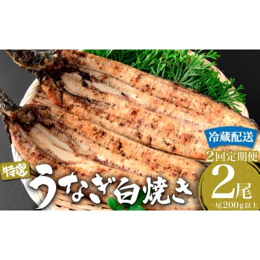 ふるさと納税 うなぎ 佐賀県 大町町 2026年5月配送開始/定期便2回 うなぎ白焼き 計800g (200g×2尾×2回) / うなぎ 鰻 ウナギ 蒲焼 蒲焼き 土用 丑の日 特…