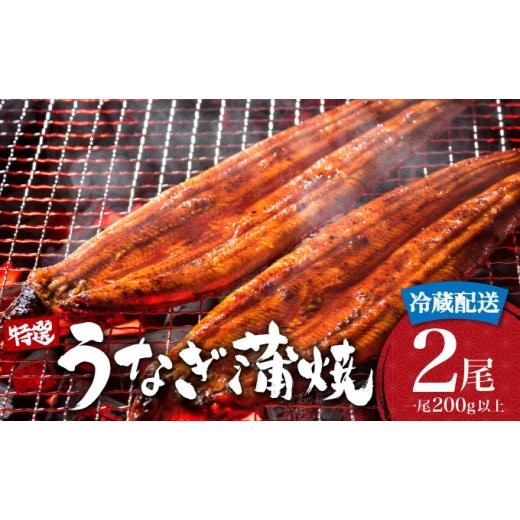 ふるさと納税 うなぎ 佐賀県 大町町 2026年6月配送 うなぎ蒲焼き 400g (200g×2尾) / 国産 蒲焼き 長焼き ウナギ 鰻 蒲焼 贈答 うなぎ 冷蔵 2026年6月配送
